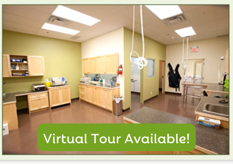 Carousel Slide 3: View our hospital with our convenient online tour